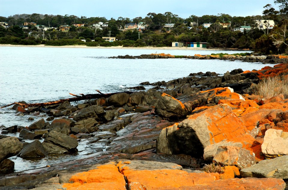Greens-Beach-rocks-20070419-029