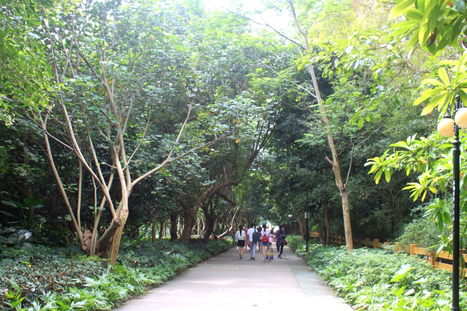 Greenway of Honghu Park3