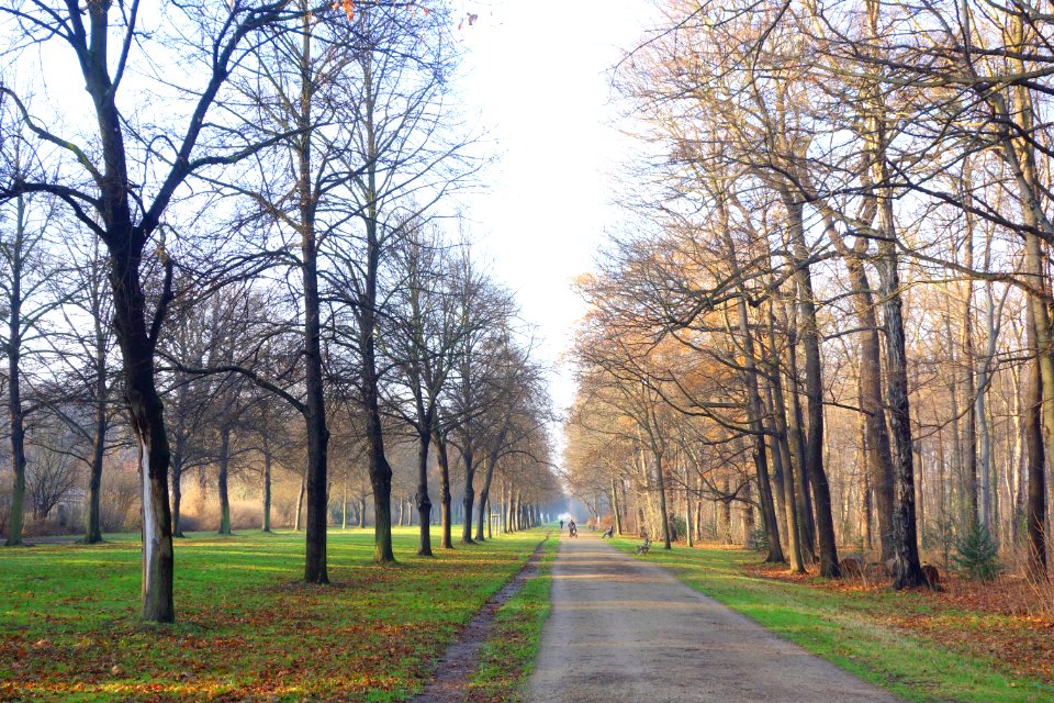 Großer Garten, Dresden, Germany - DSC09073