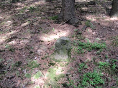 Grenzstein am Steinbühl bei Westheim, WSW-Seite