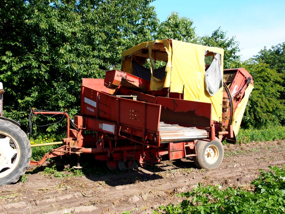 Grimme Matador pic4