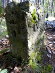 Grenzstein auf den Reinsbergen bei Plaue 1d