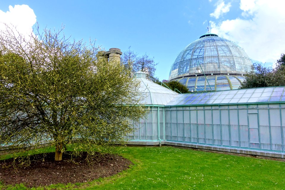 Greenhouse view - Royal Castle of Laeken - Brussels, Belgium - DSC07170