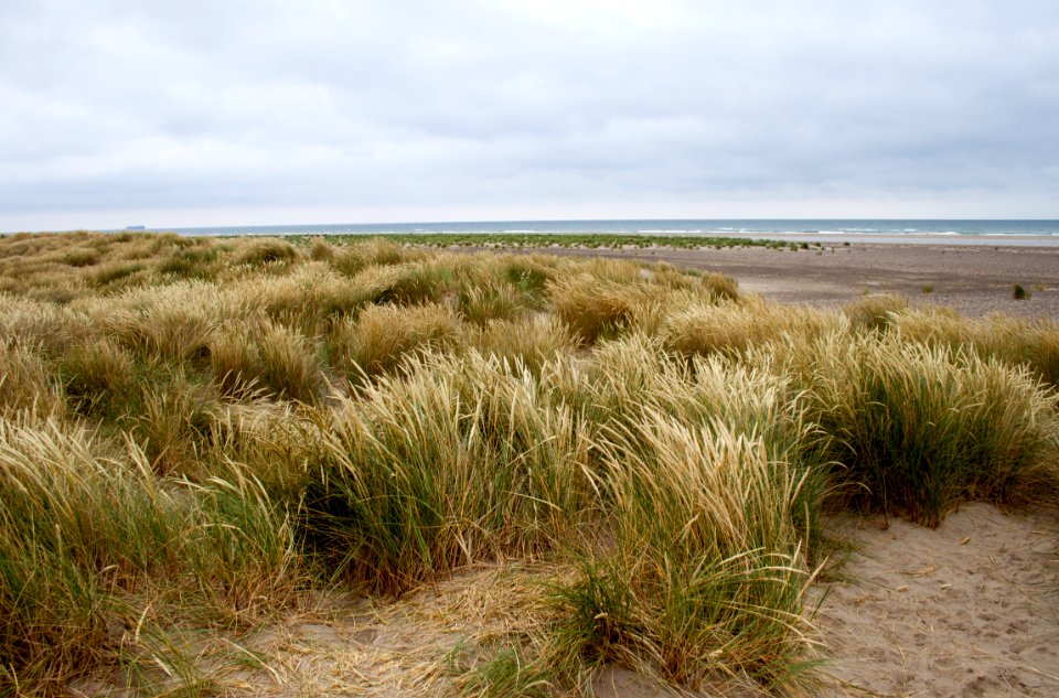 Grenen 2015-07-28-26