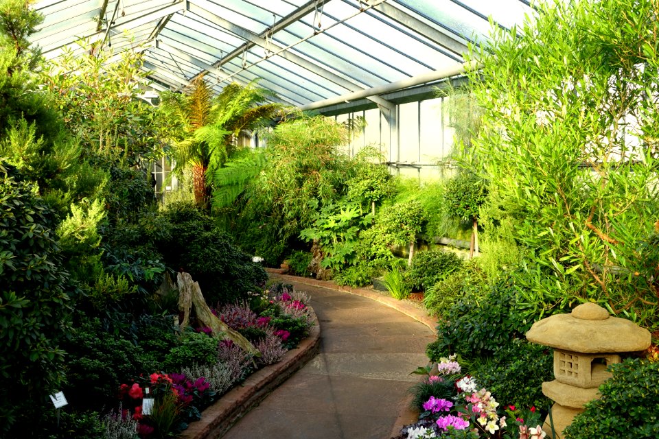 Greenhouse view - Wilhelma Zoo - Stuttgart, Germany - DSC01870
