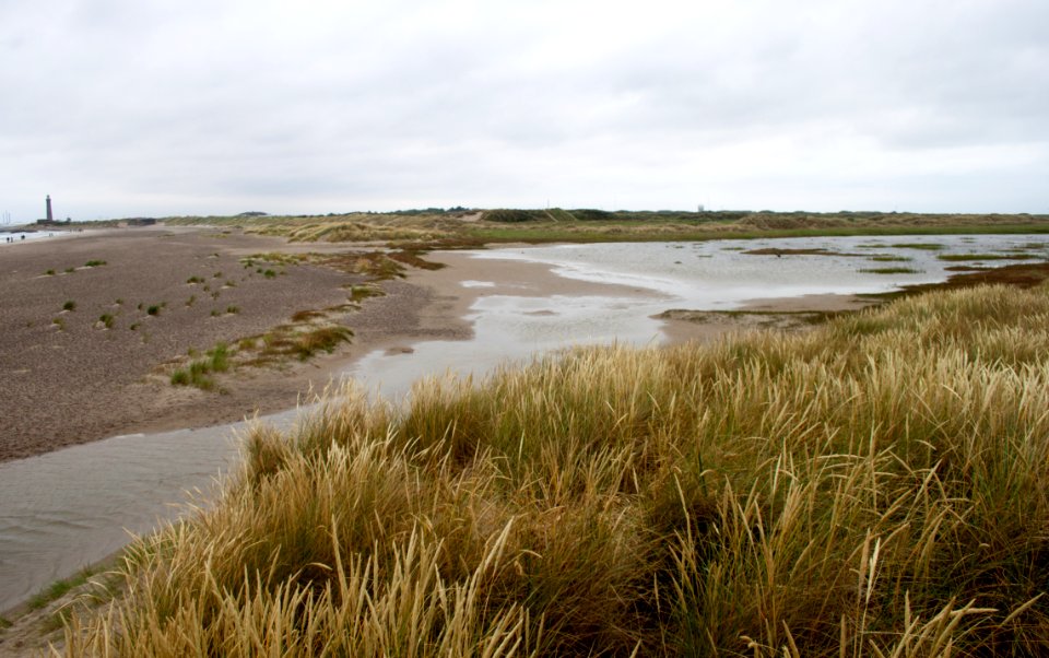 Grenen 2015-07-28-31