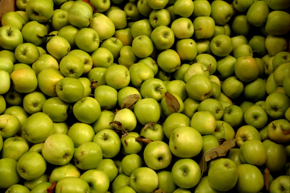 Greenstar (apple) 2