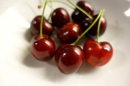 Prunus drupe delicious