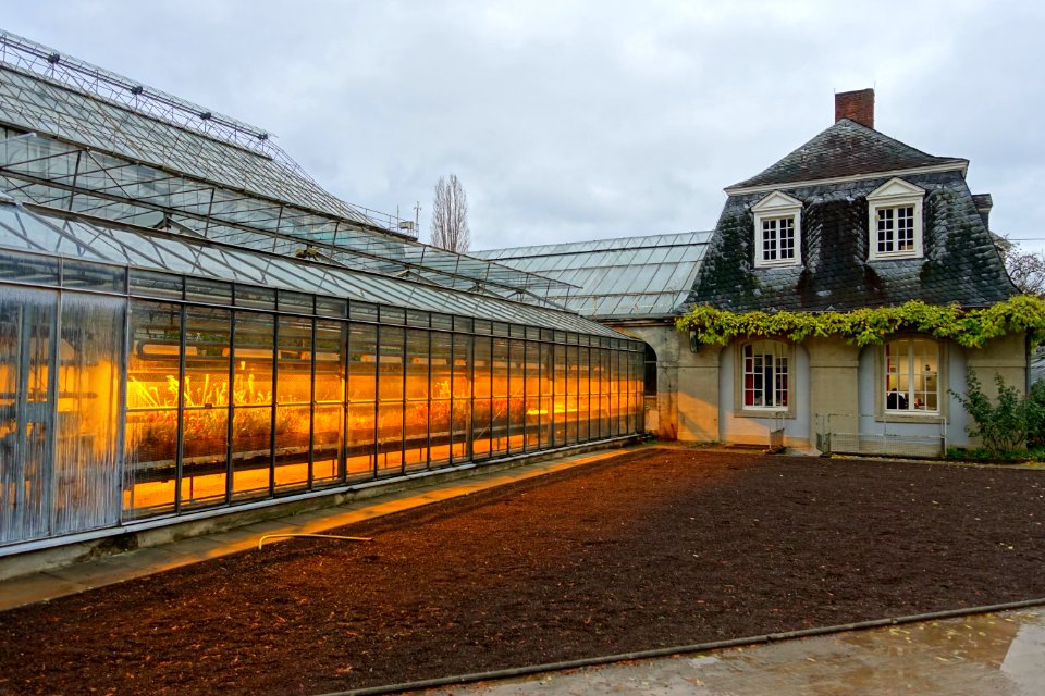 Greenhouses - Botanischer Garten - Heidelberg, Germany - DSC01396