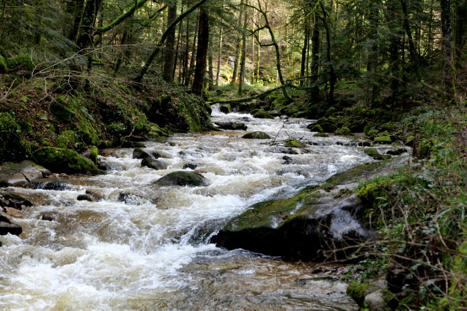 Grobbach 2020-03-13 16