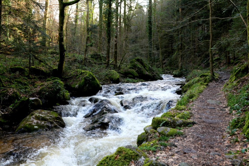 Grobbach 2020-03-13 30