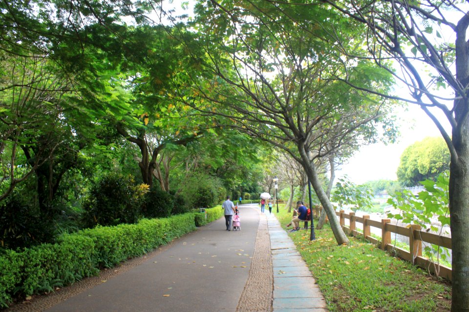Greenway of Honghu Park1