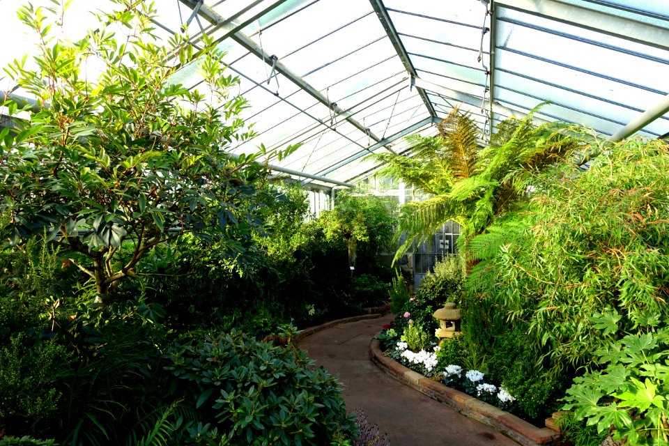 Greenhouse view - Wilhelma Zoo - Stuttgart, Germany - DSC01877