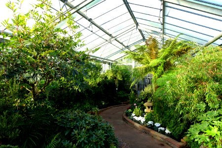 Greenhouse view - Wilhelma Zoo - Stuttgart, Germany - DSC01877