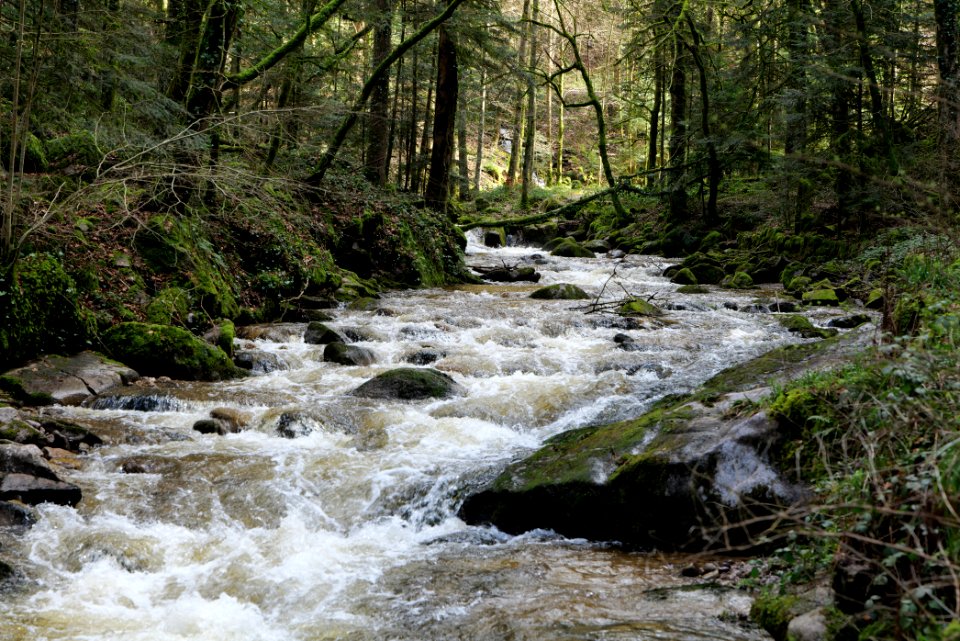 Grobbach 2020-03-13 17