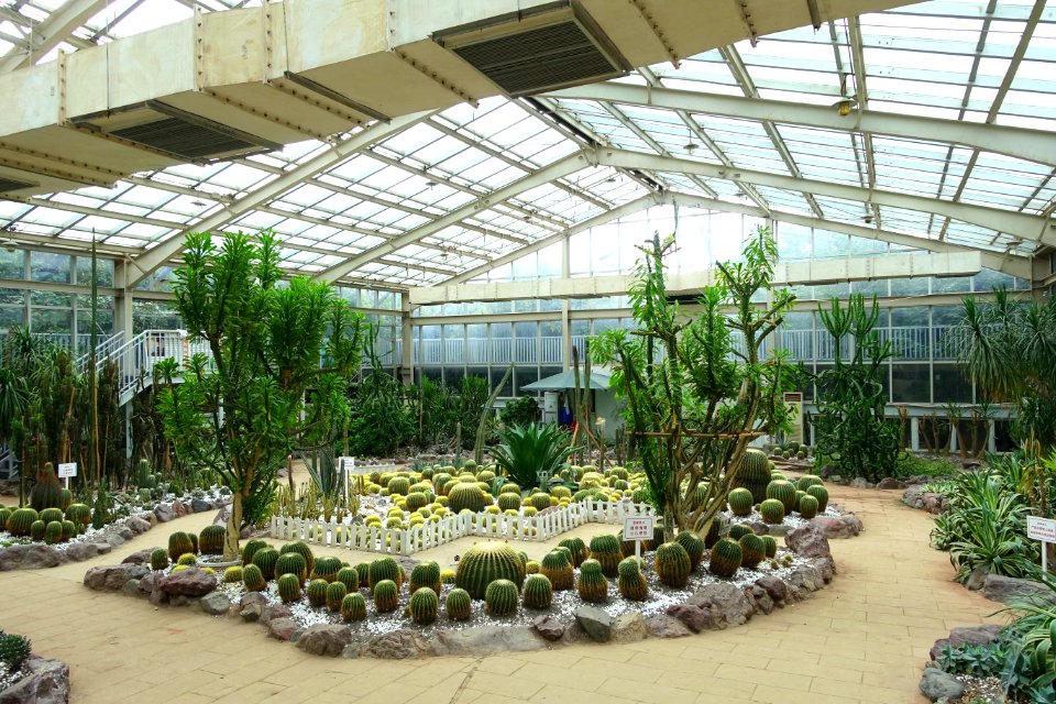 Greenhouse Plant Building interior - Chengdu Botanical Garden - Chengdu, China - DSC03544