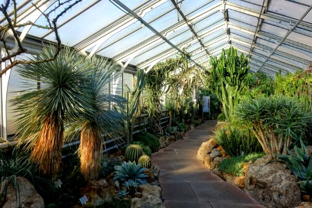 Greenhouse view - Wilhelma Zoo - Stuttgart, Germany - DSC01700
