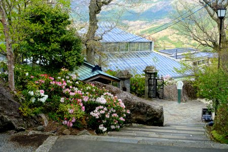 Greenhouses - Gora Park - Hakone, Kanagawa, Japan - DSC08460