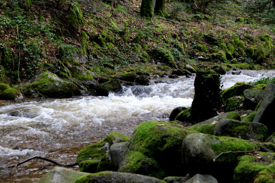 Grobbach 2020-03-13 08