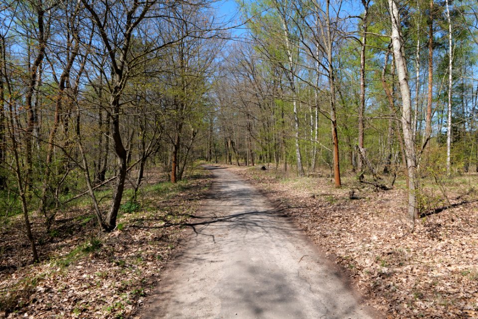 Großer und Kleiner Möggelinsee 2021-05-09 72