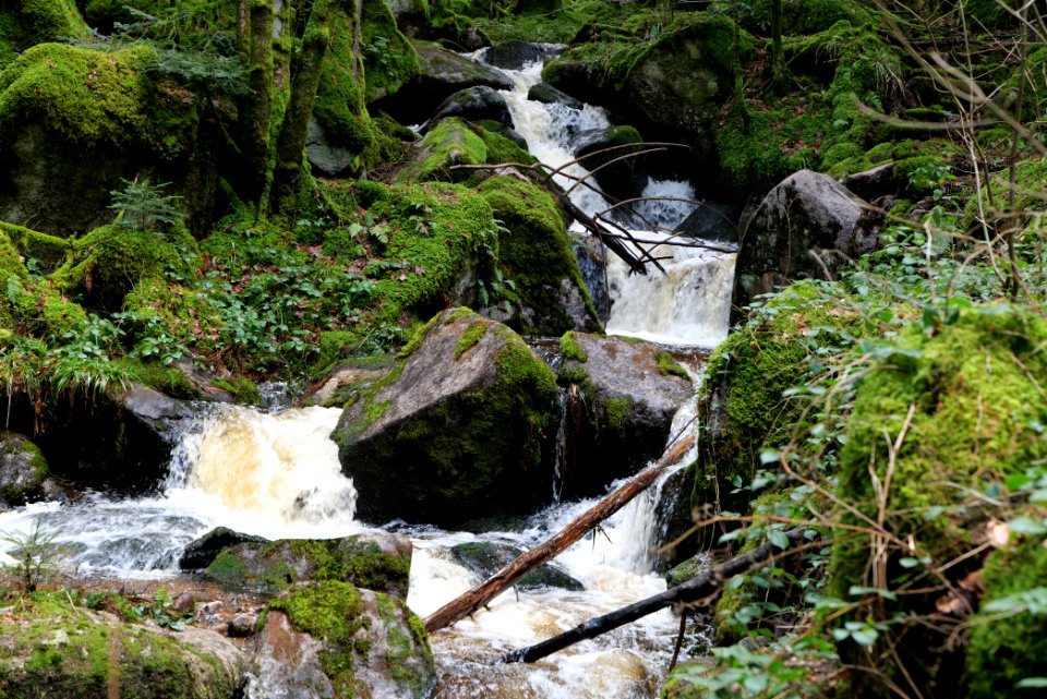 Grimbach Waterfall 2020-03-13 13