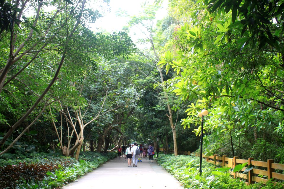 Greenway of Honghu Park2