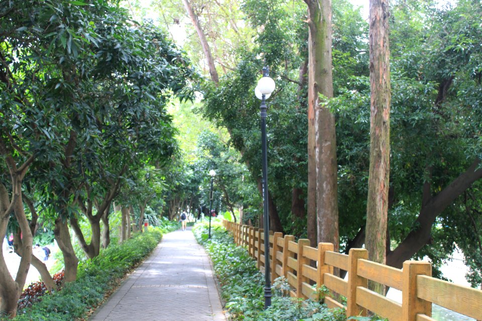 Greenway of Honghu Park10