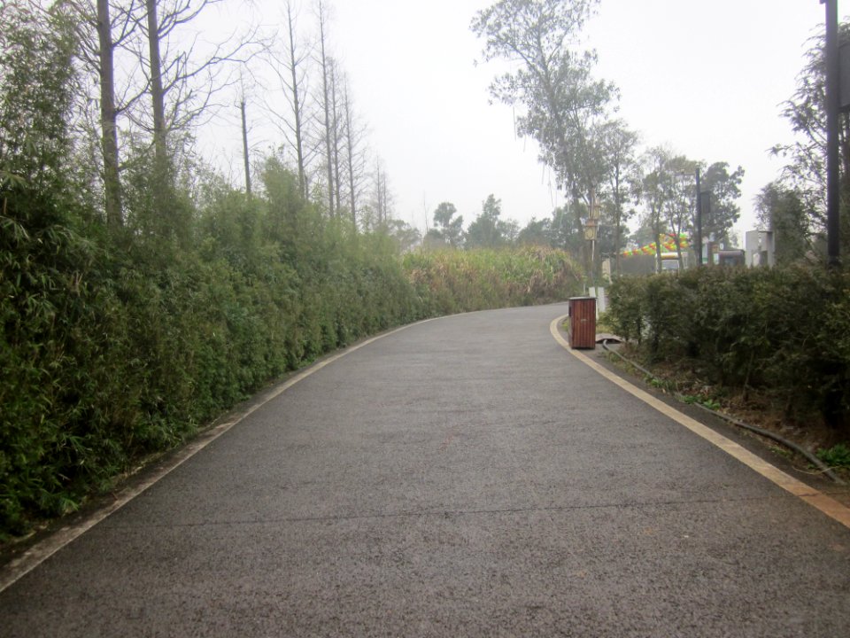 Greenway in Yanghu Wetland Park, picture2