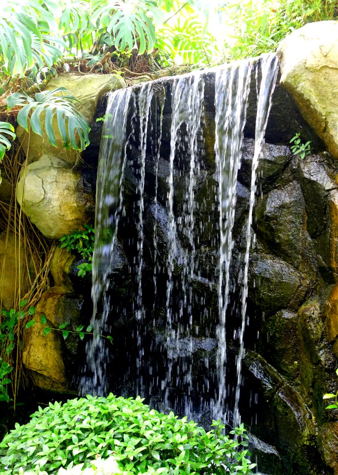 Greenhouse waterfall - Gora Park - Hakone, Kanagawa, Japan - DSC08577