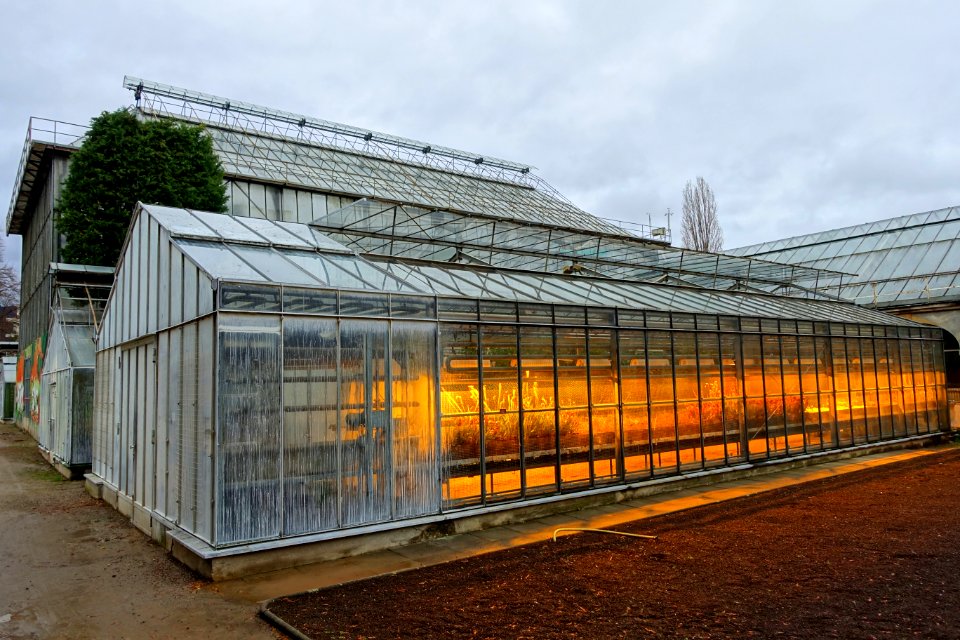 Greenhouses - Botanischer Garten - Heidelberg, Germany - DSC01394
