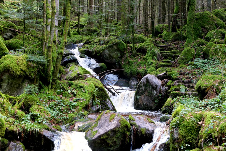 Grimbach Waterfall 2020-03-13 04