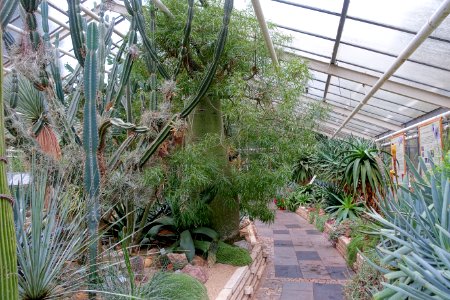 Greenhouse scene - Flora park - Cologne, Germany - DSC00765