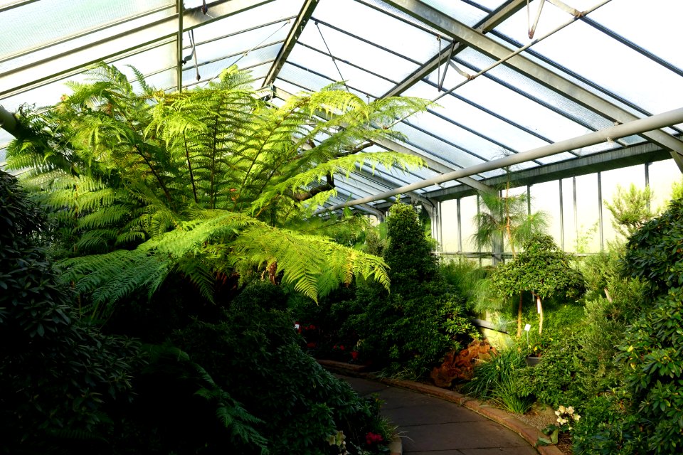 Greenhouse view - Wilhelma Zoo - Stuttgart, Germany - DSC01850