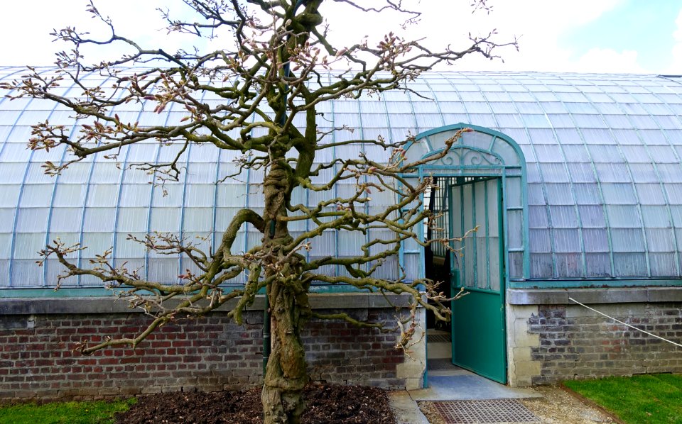 Greenhouse view - Royal Castle of Laeken - Brussels, Belgium - DSC07175