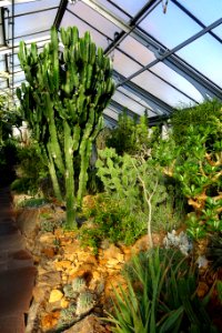 Greenhouse view - Wilhelma Zoo - Stuttgart, Germany - DSC01704