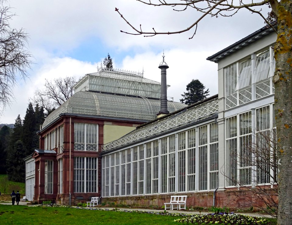 Großes Gewächshaus Kassel 2