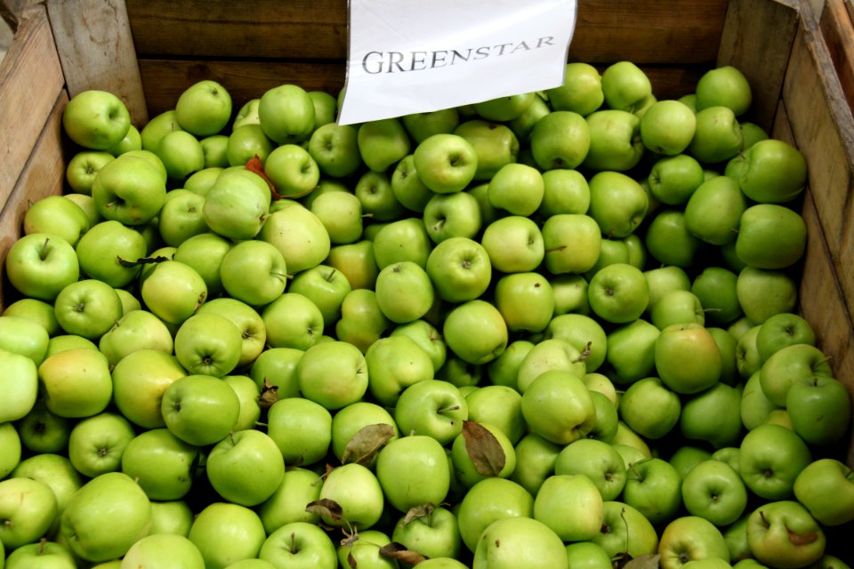 Greenstar (apple) 1