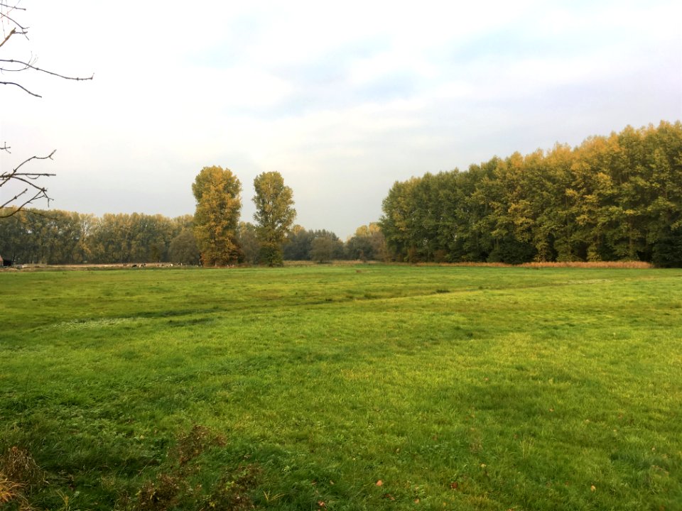Grens Ternat-Affligem