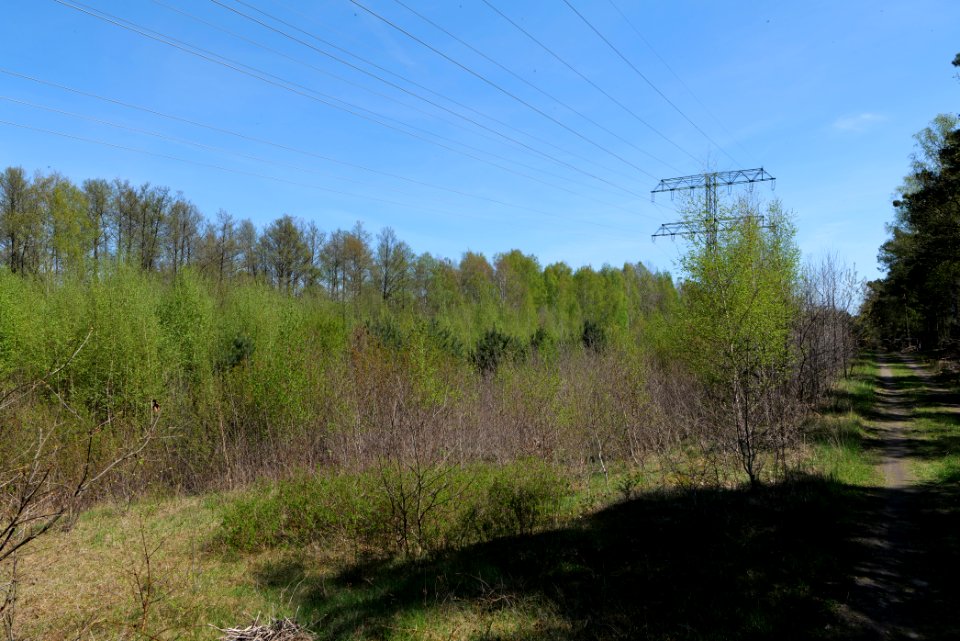Großer und Kleiner Möggelinsee 2021-05-09 15