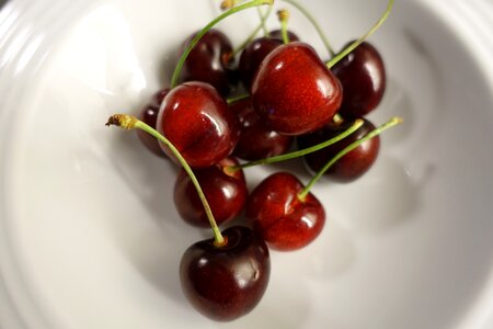 Prunus drupe delicious