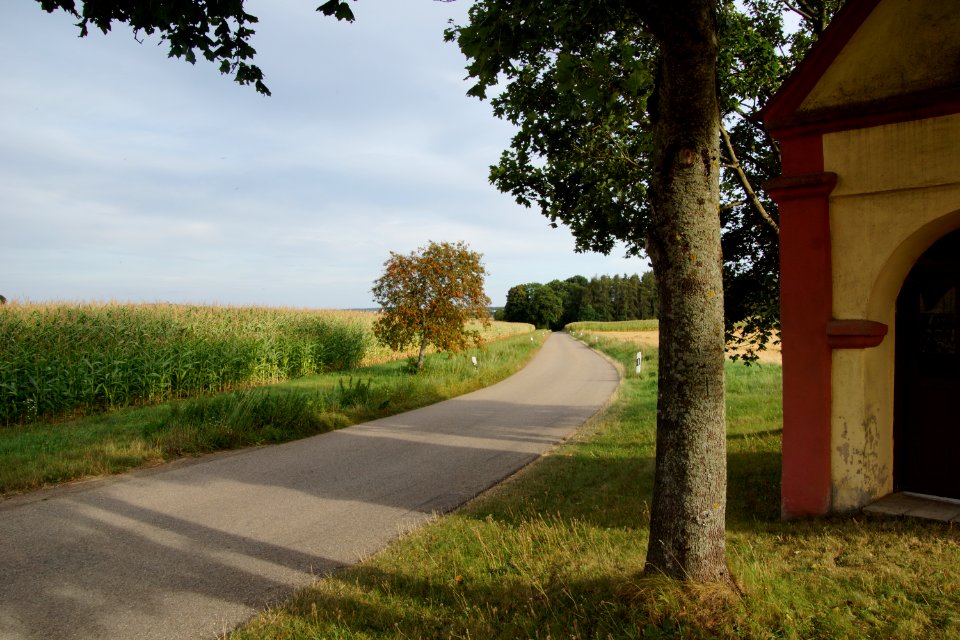 Großnottersdorf EI 016