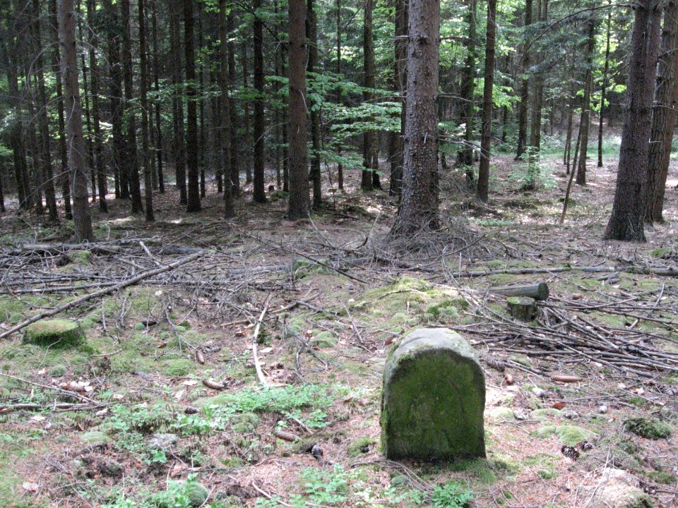 Grenzstein am Steinbühl bei Westheim, ENE-Seite