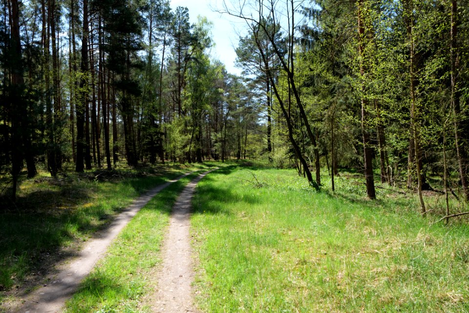 Großer und Kleiner Möggelinsee 2021-05-09 30