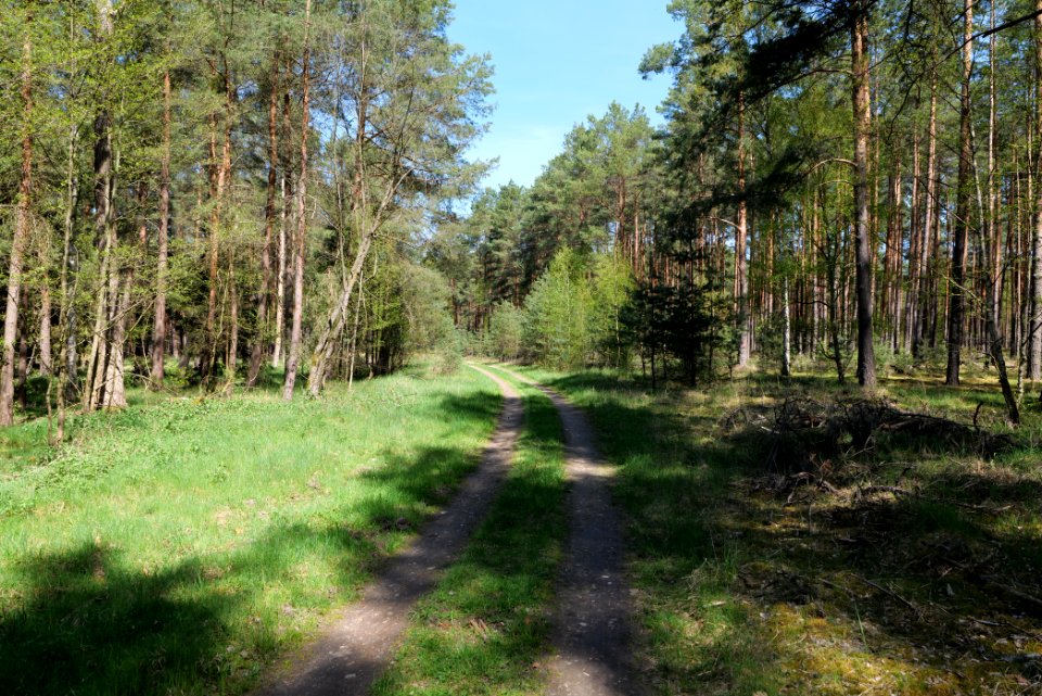 Großer und Kleiner Möggelinsee 2021-05-09 19