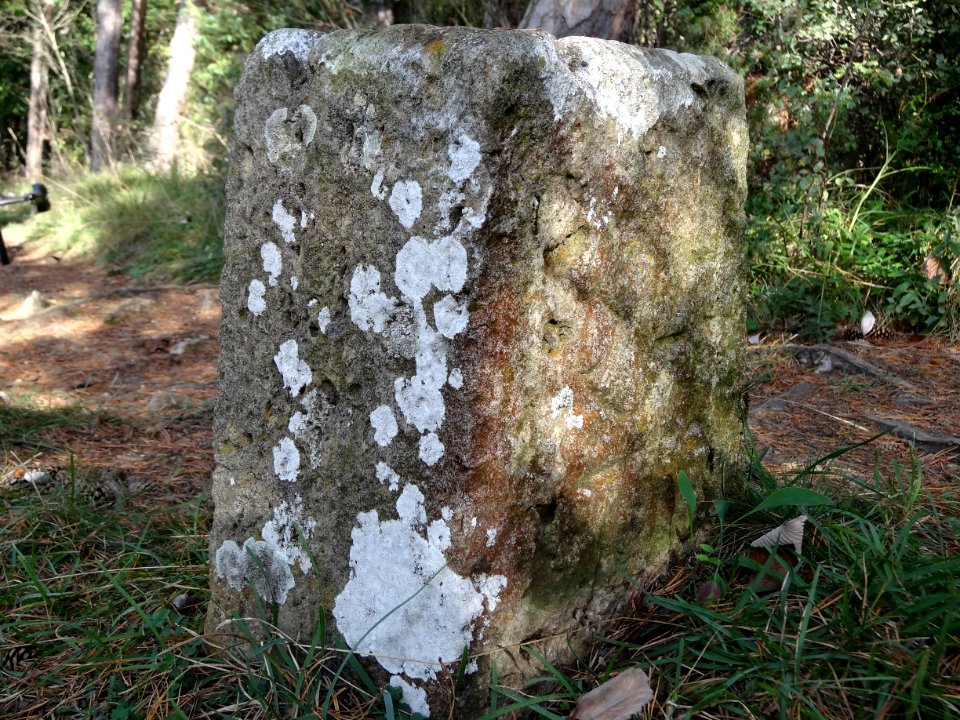 Grenzstein auf den Reinsbergen bei Plaue 2c