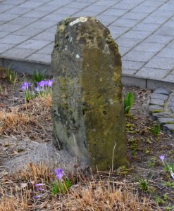 Grenzstein Nr. 20 - Ravensberg - Amt Reckenberg - Ravensberger Seite