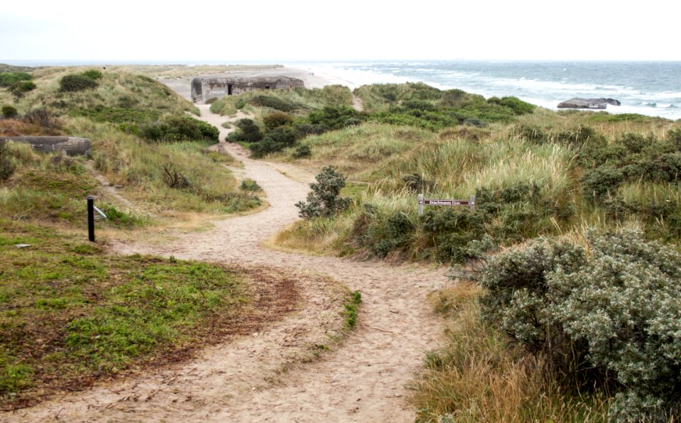 Grenen 2015-07-28-7