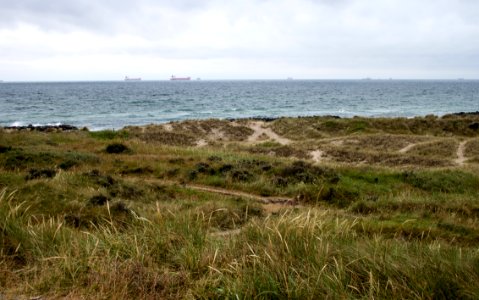 Grenen 2015-07-28-5