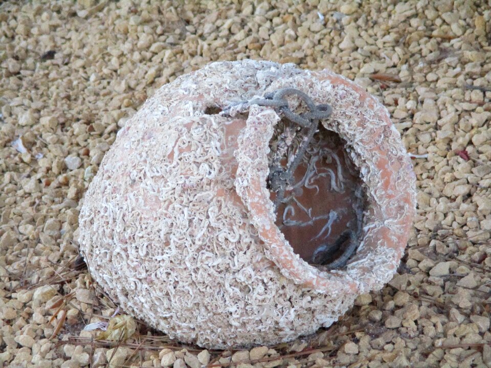 Vase weather-beaten jug