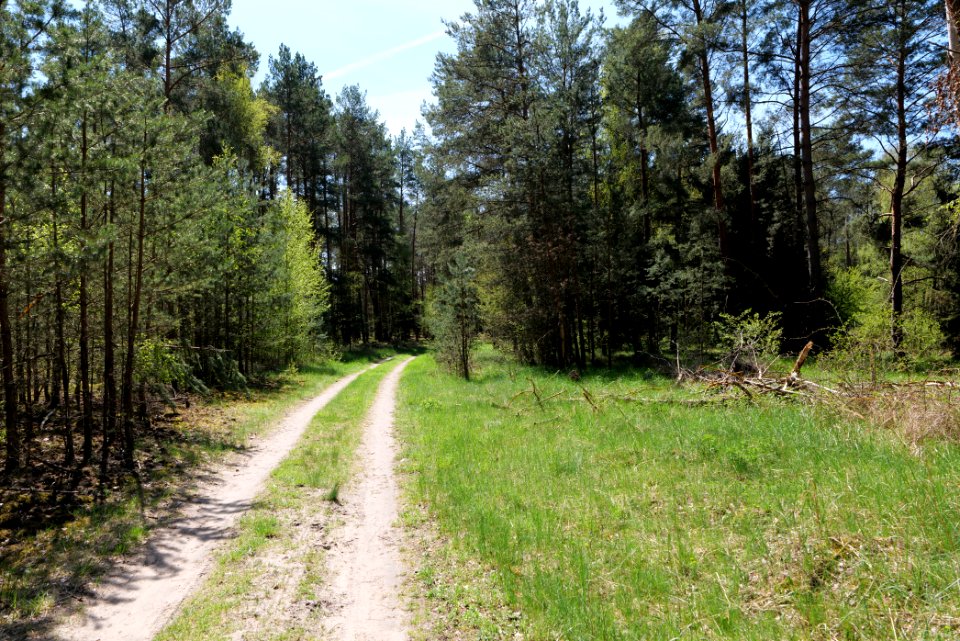 Großer und Kleiner Möggelinsee 2021-05-09 26